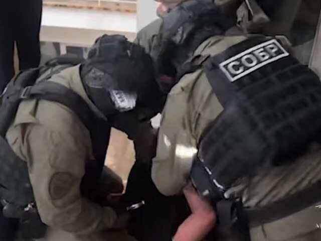    Фото: телеграм-канал "Ирина Волк"