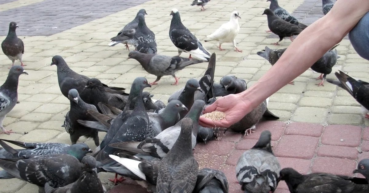 фото из открытого доступного источника сети интернет