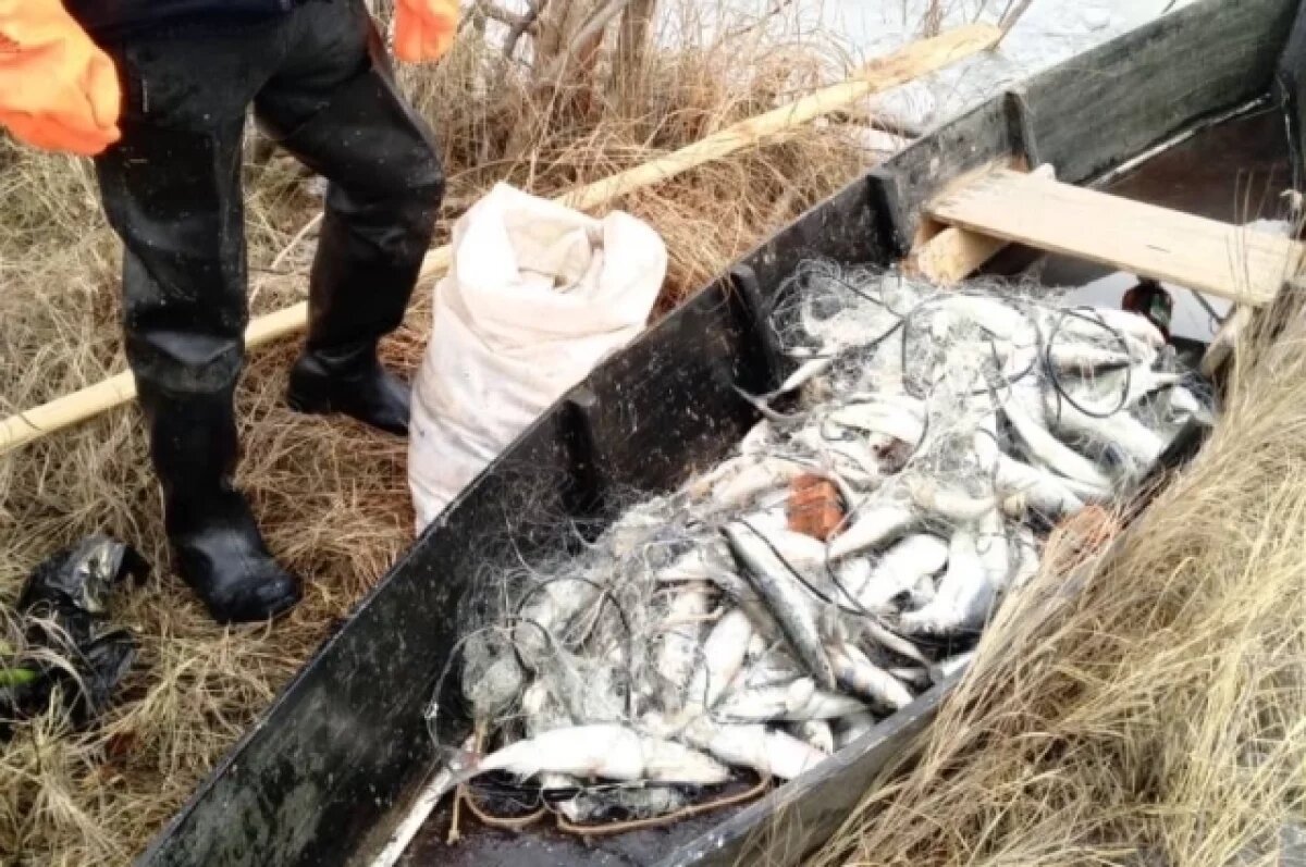    Браконьер выловил омуля почти на 1,7 миллиона рублей