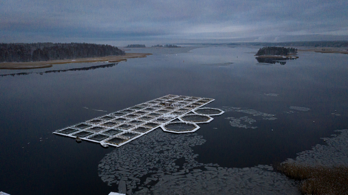 Фото автора (с)