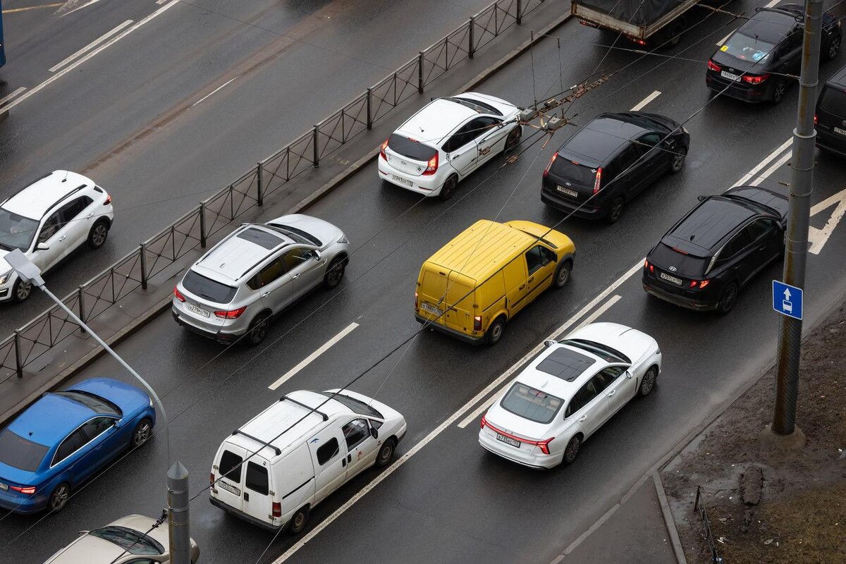 Фото: Дмитрий Фуфаев/«Петербургский дневник»
