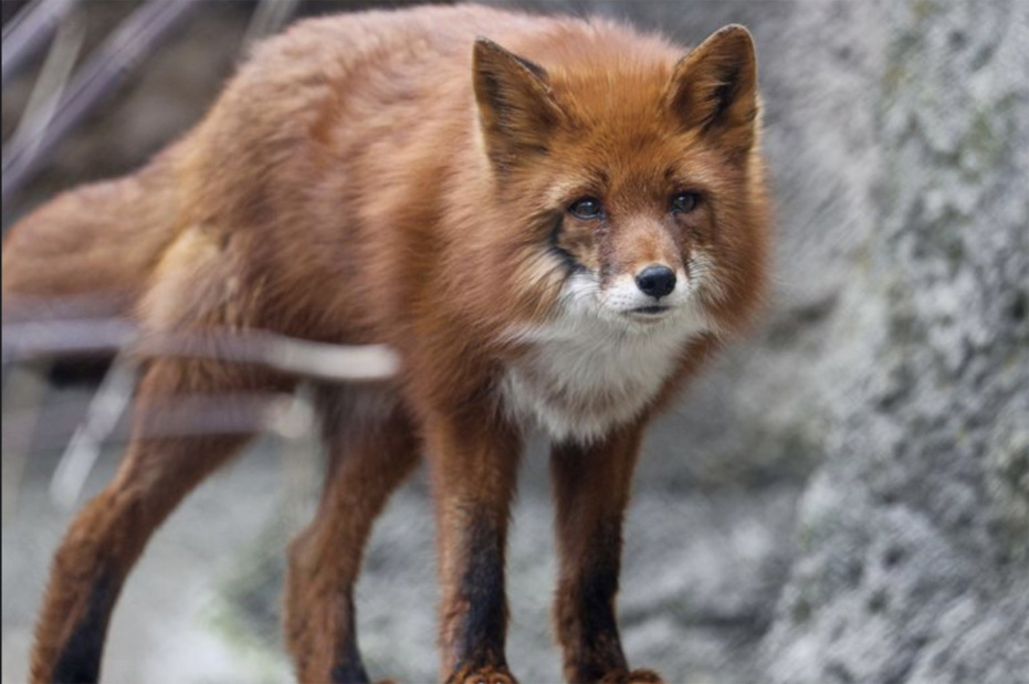    Сергей Булкин/NEWS.ru