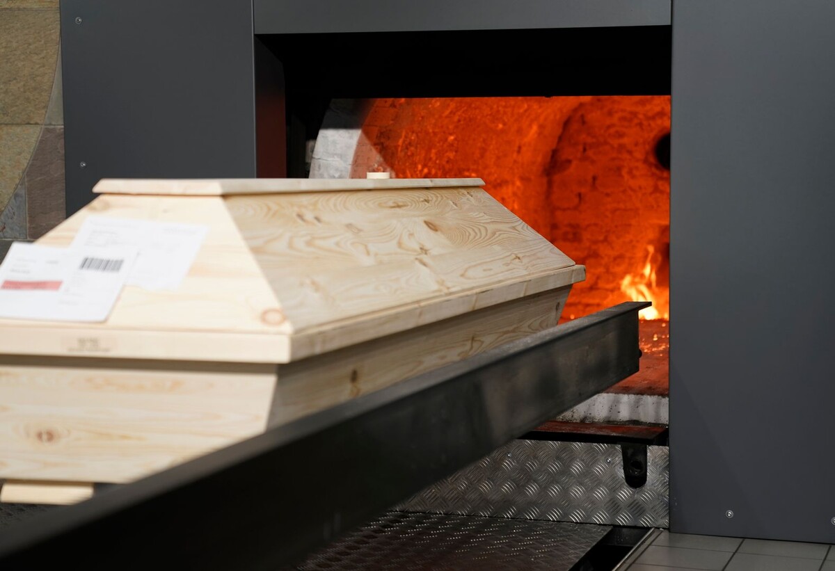     / Источник: © Uwe Lein/dpa/Global Look Press