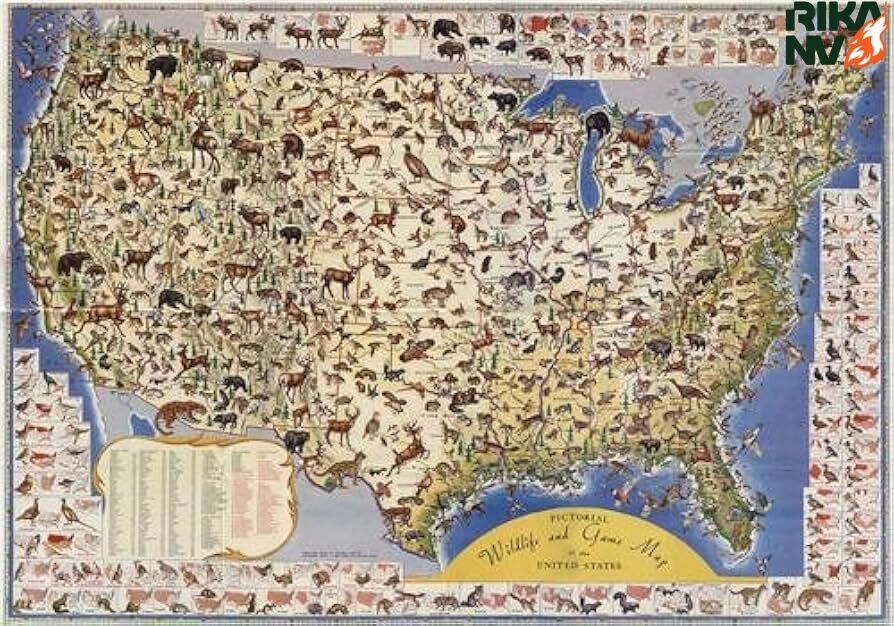 Всегда сверяйтесь с картами!