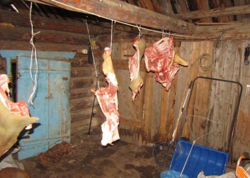    Фото: ГУ МВД России по Пермскому краю Полина Анкушина