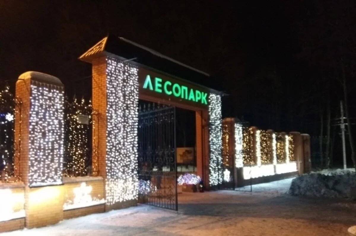    В Рязанском Лесопарке замечены школьники с неадекватным поведением