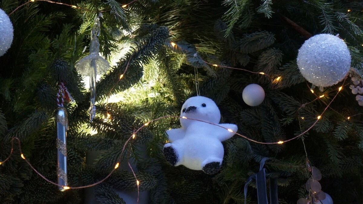    Прогноз погоды на Новый год-2026 в Нижнем Новгороде   newsnn.ru