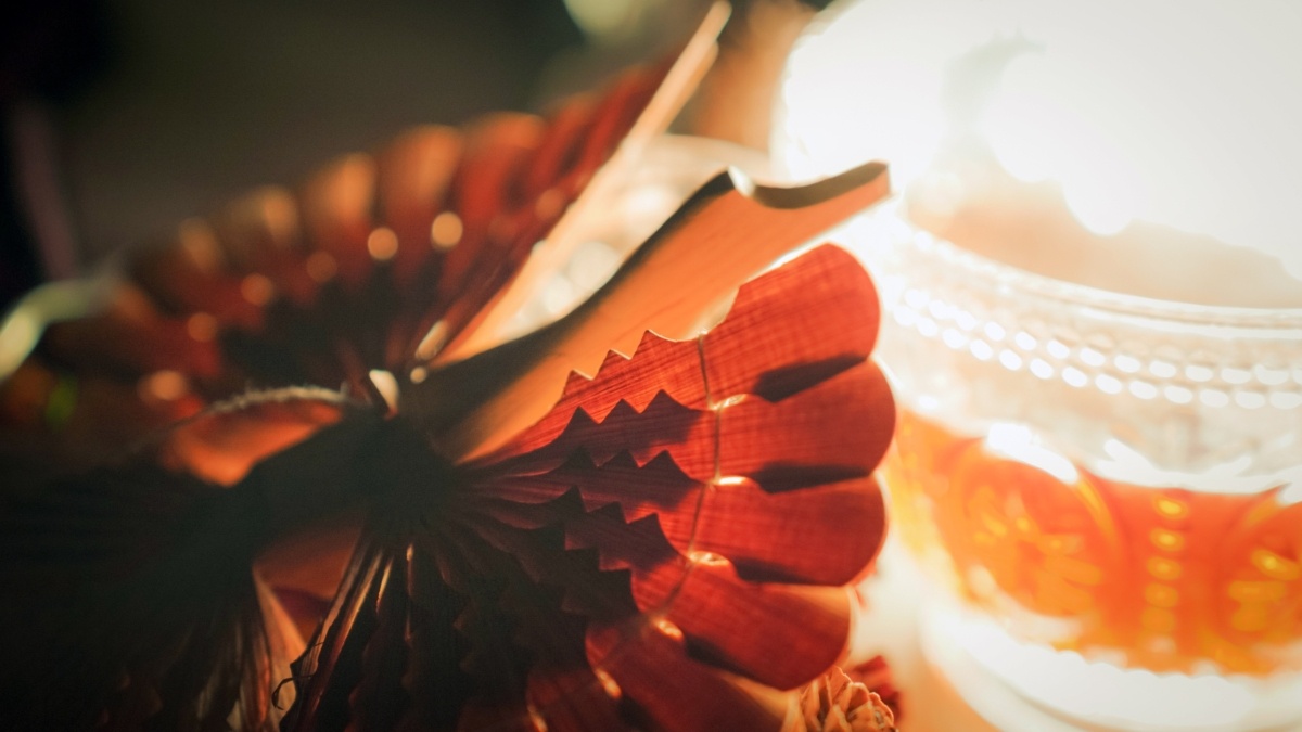 Светлана Мулыкина📷
