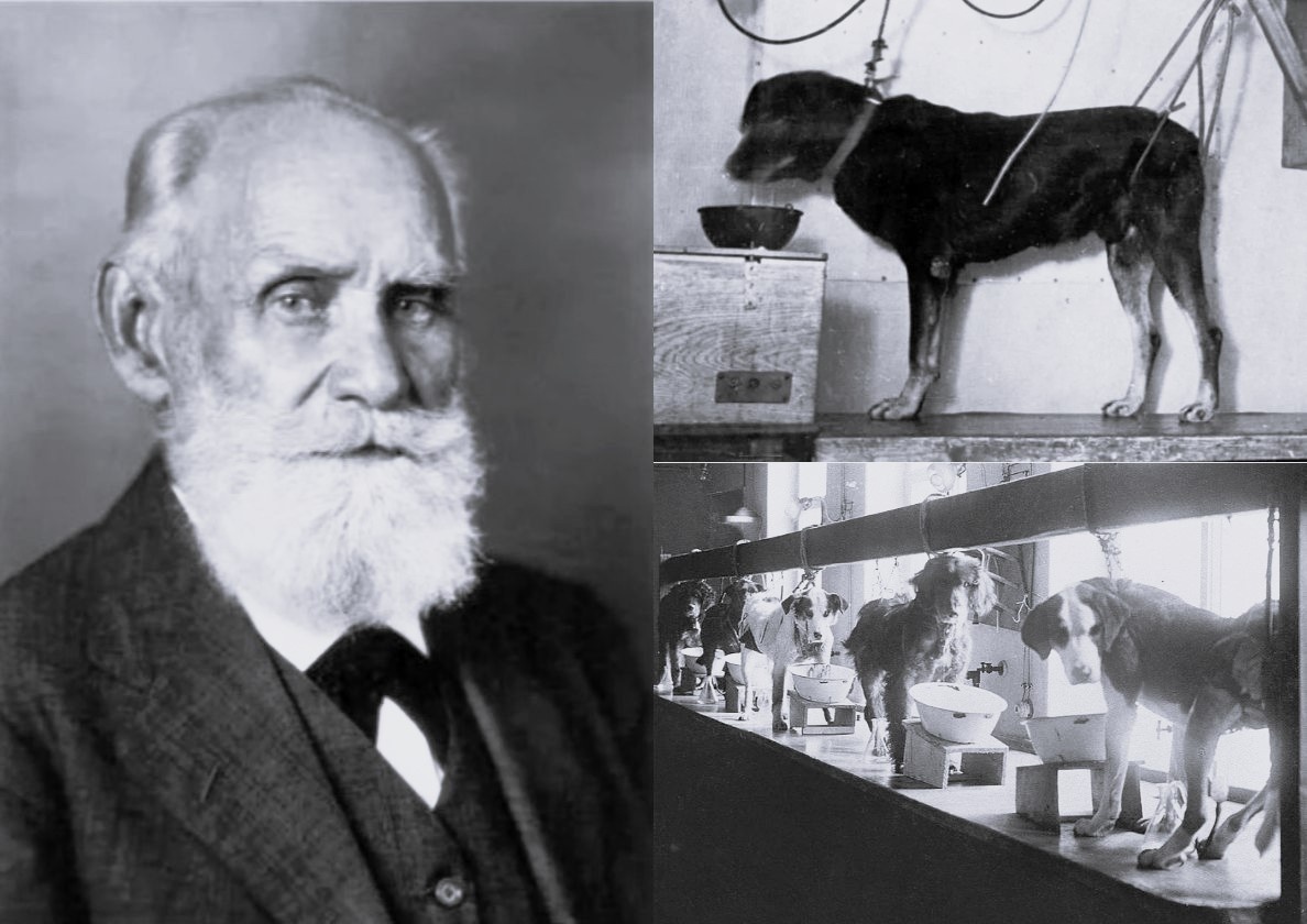 Павлов и собаки