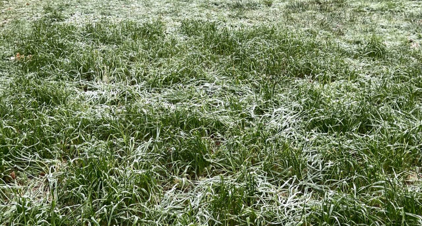    Калининград во власти циклона: подробный прогноз погоды на всю рабочую неделю