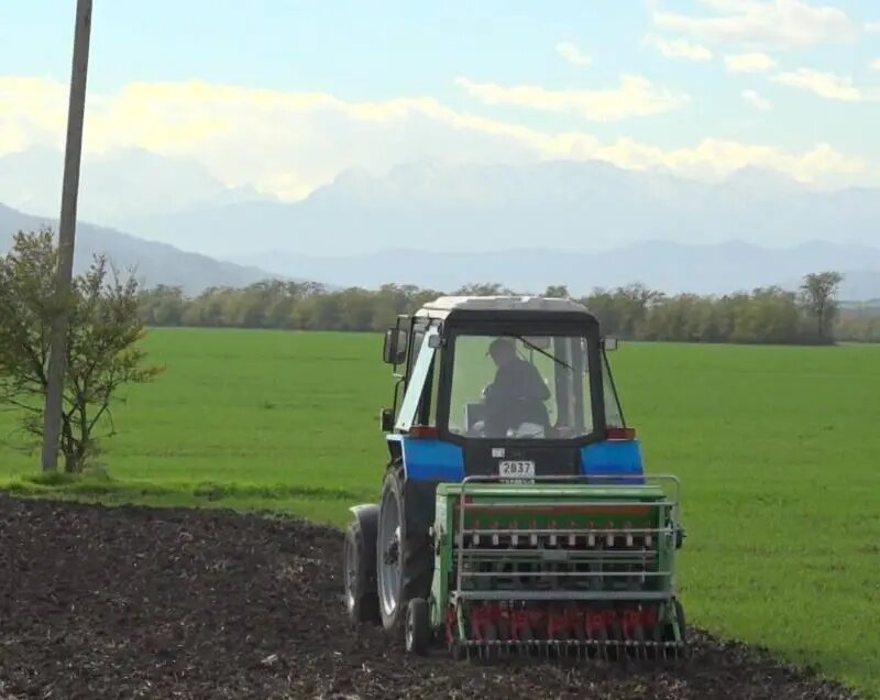 Фото:пресс-служба Минсельхоза Ингушетии