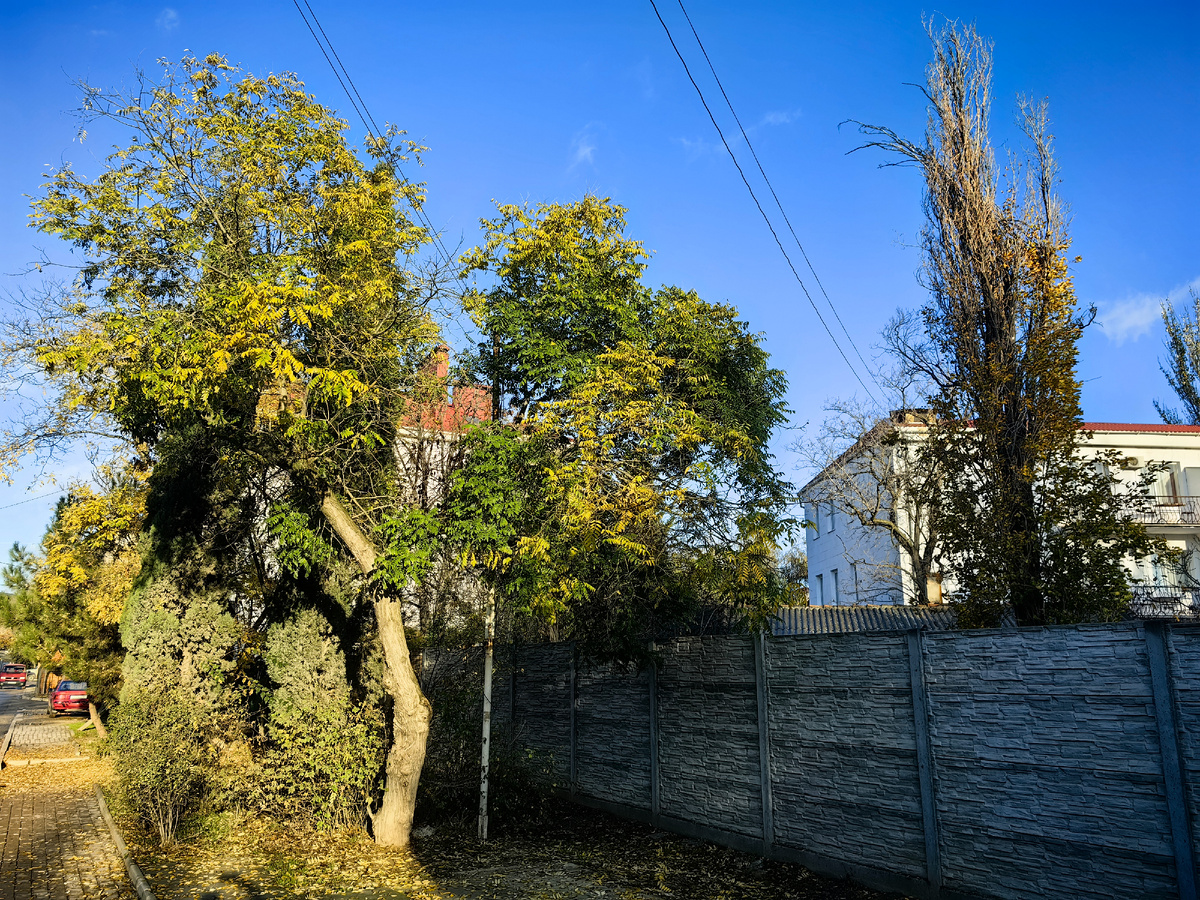 На ул.Десантников. Сегодня. Фото автора канала