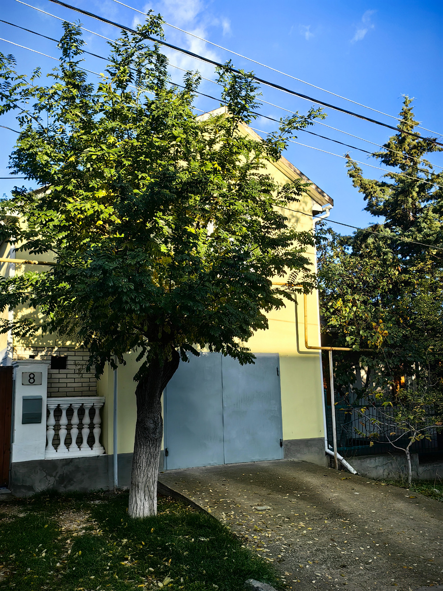 На ул.Мичурина. Сегодня. Фото автора канала