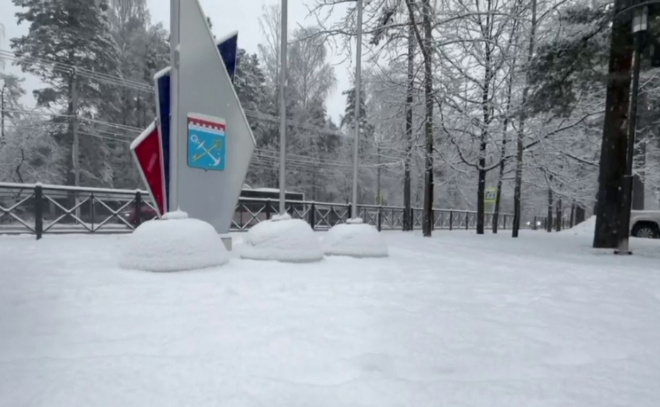    © Telegram-канал «Лира Бурак. Глава о главном»