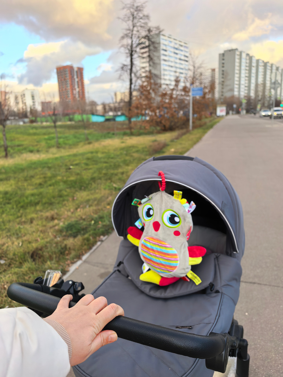 Вот такого цвета у меня коляска на осень-зиму