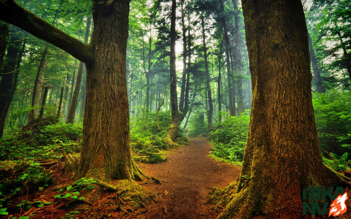 Маршрут периодически меняется