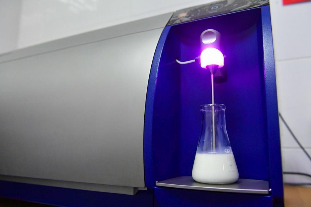 Фото: ИА "Тюменская линия"