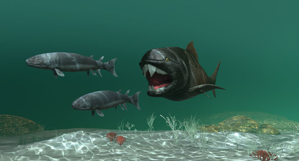 Доисторическая рыба удивила палеонтологов странной анатомией