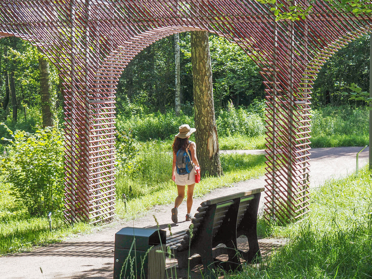 Фото Павел Каманин