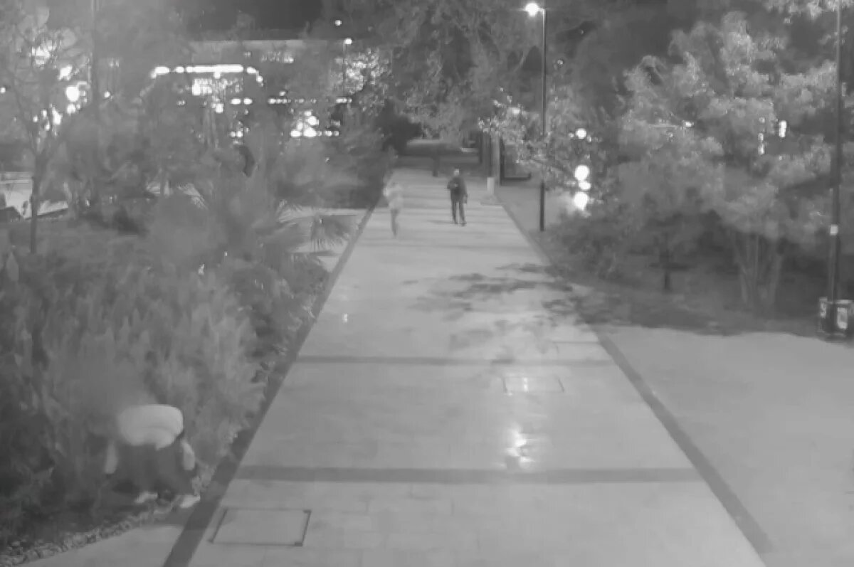    Ялтинские цветочные воры лишили площадь Советскую 40 виол