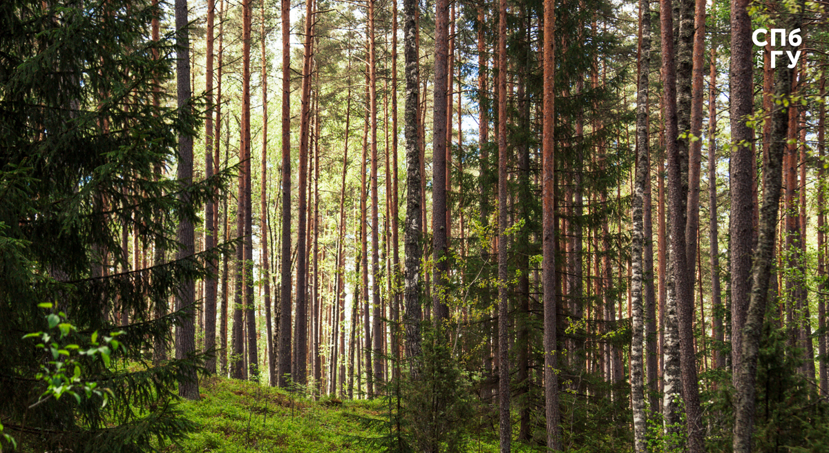 Источник: Freepik