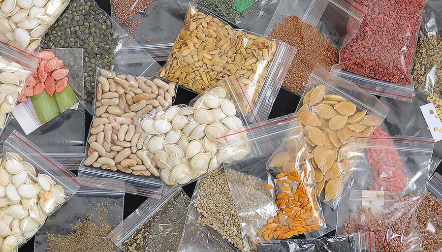 🌱 Подготовка семян к весенним посадкам: секреты, которые я собирала годами