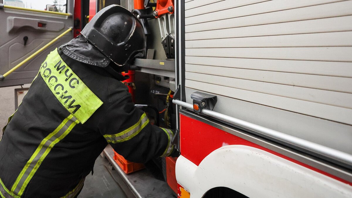    Фото: Belkin Alexey/globallookpress.com