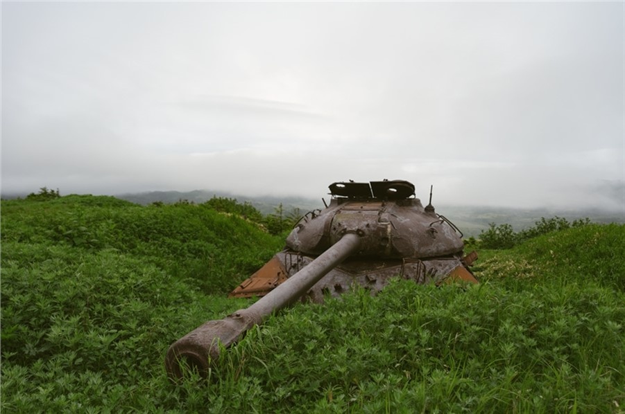 Главный клещатник Шикотана
