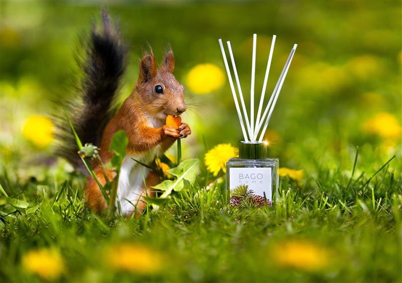 Фото: пресс-служба бренда BAGO home