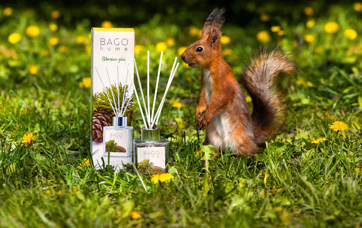 Фото: пресс-служба бренда BAGO home