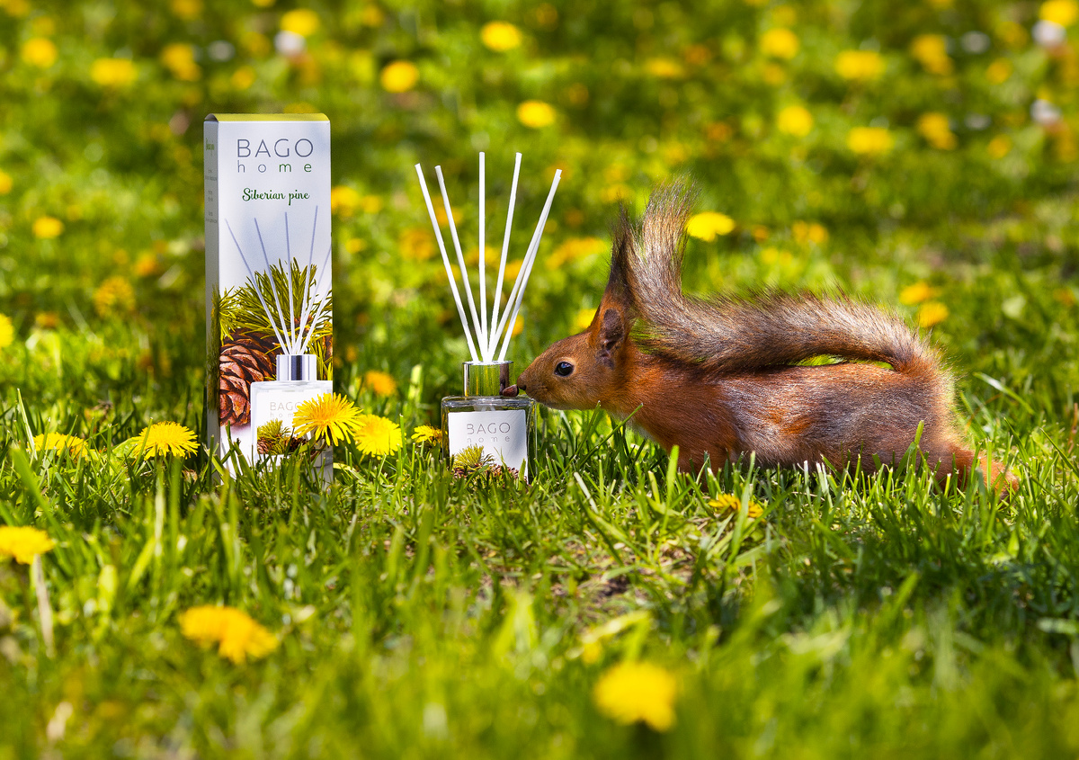 Фото: пресс-служба бренда BAGO home