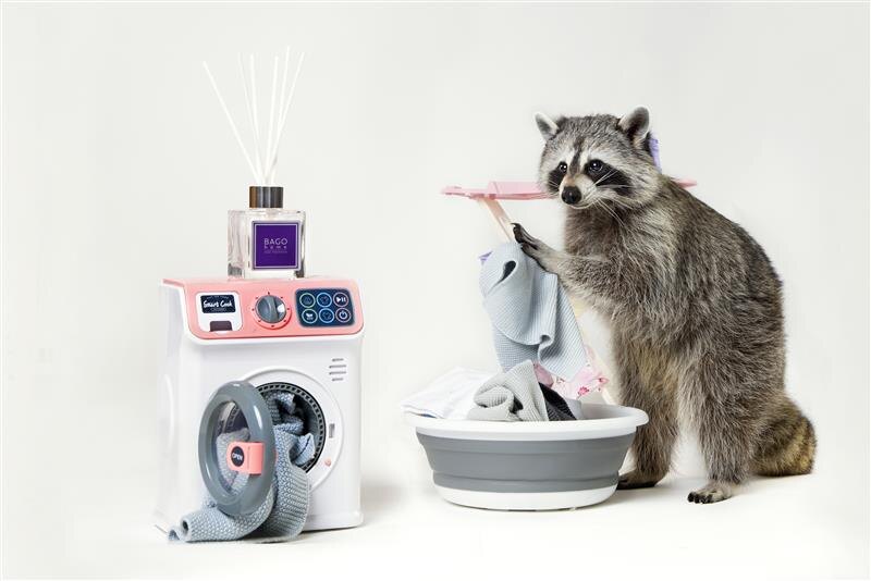 Фото: пресс-служба бренда BAGO home