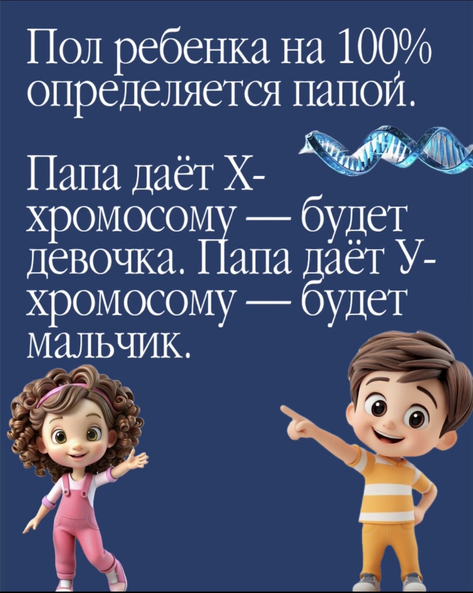 Папа даёт Х-хромосому — будет девочка. Папа даёт У-хромосому — будет мальчик.