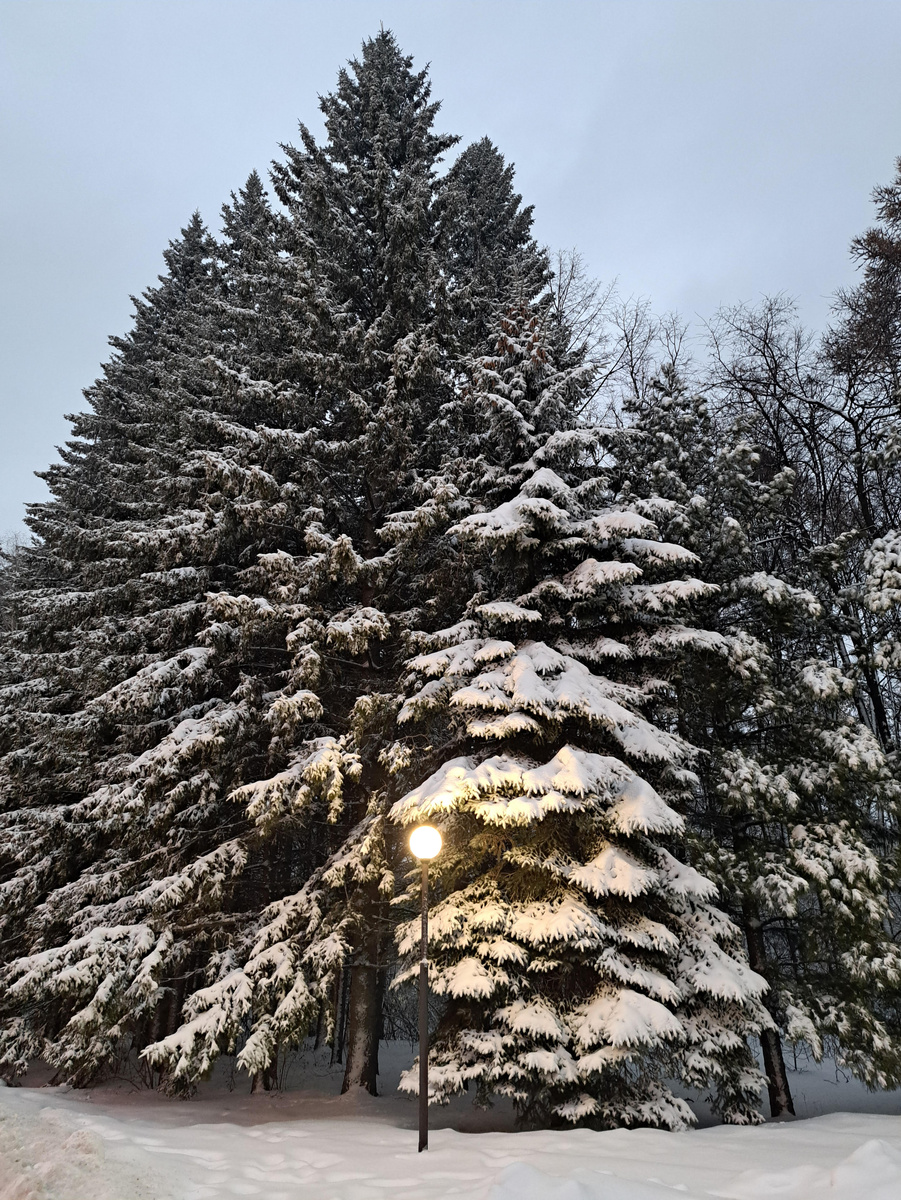 Уютный Академгородок зимой. Фото автора