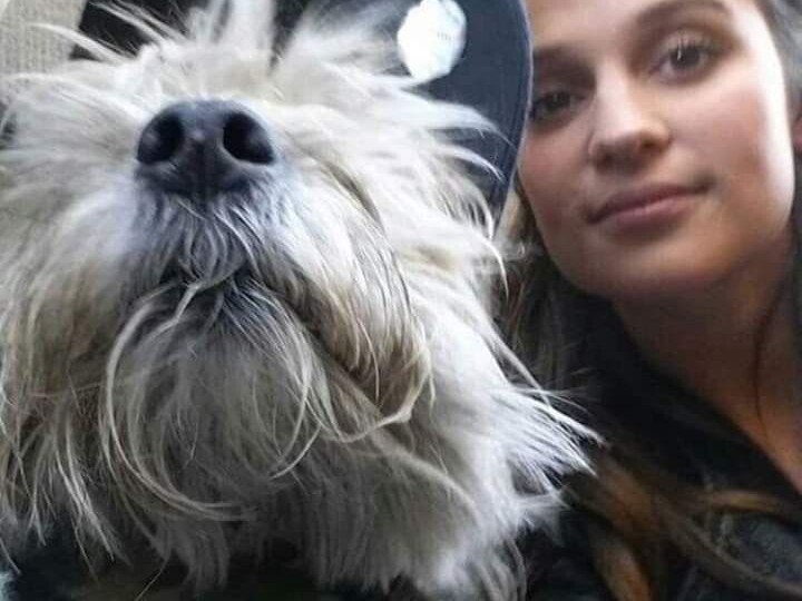 Любимые кошки и собаки знаменитых актеров и актрис