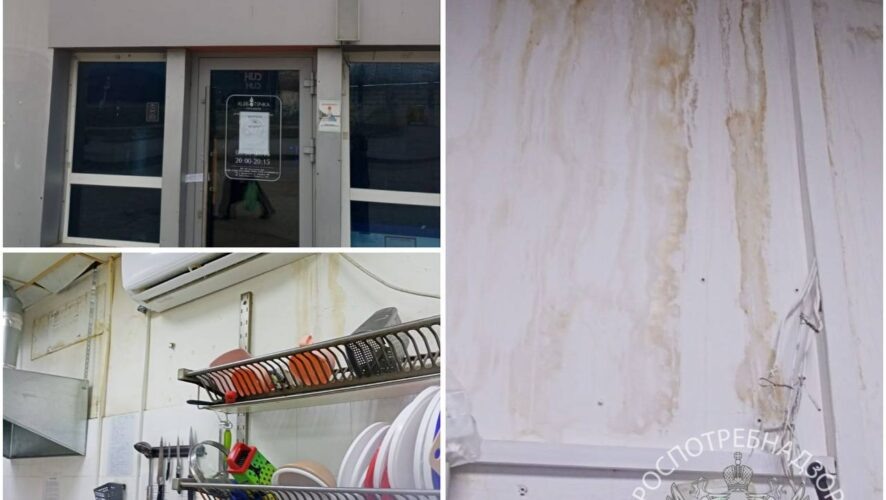    Фото: Управление Роспотребнадзора по РТ