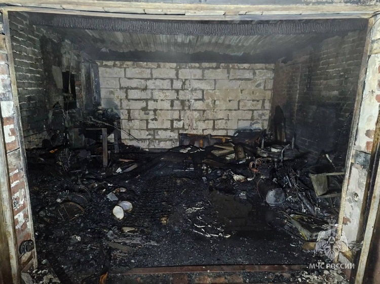    Фото ТГ-канала ГУ МЧС России по РО Татьяна Пшеничная