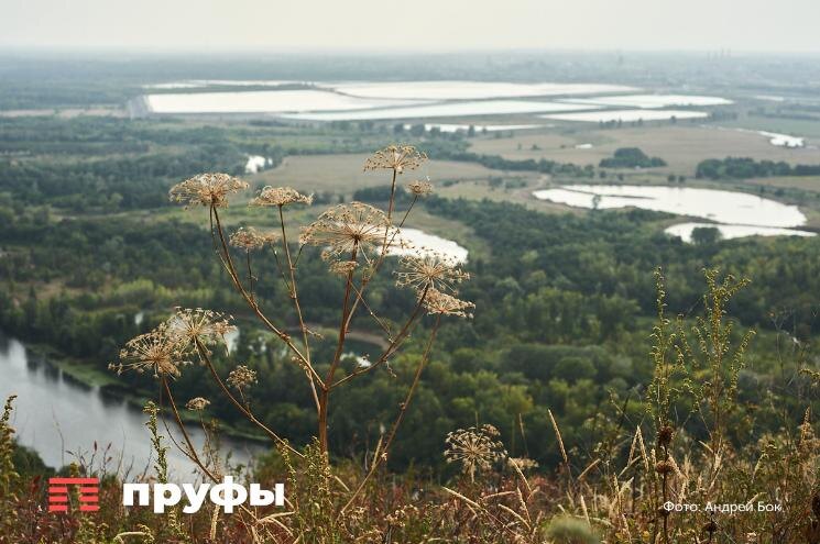    Фото: Пруфы.рф