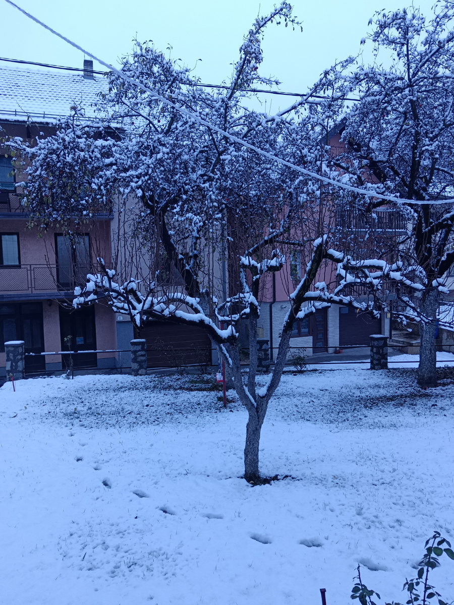 Нояьрьское утро в Ужице.