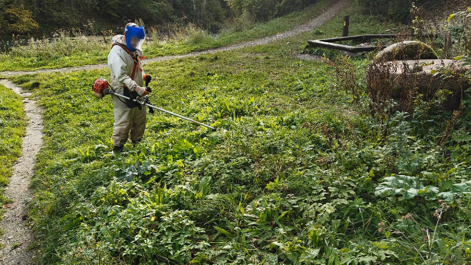 Фото: Всероссийское общество охраны природы (СПб и ЛО)