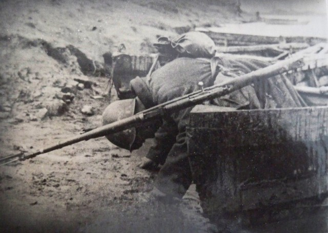 Яндекс картинки