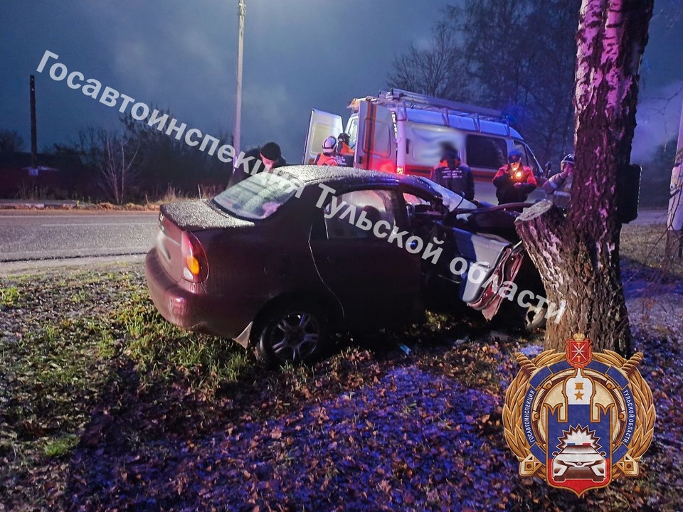    В Щекинском районе автоледи на машине Chevrolet въехала в дерево. материалы пресс-служб
