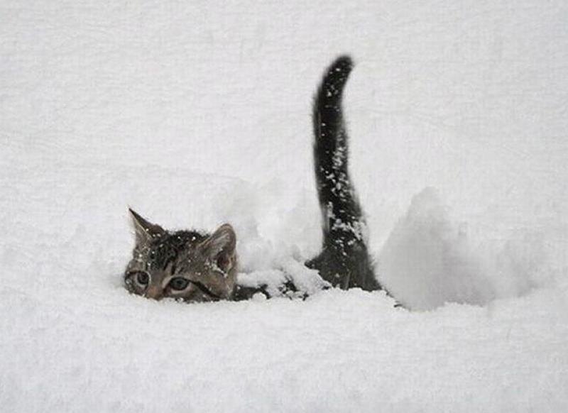 #Астропрогноз на 24-30 ноября 2025. Ключевые аспекты дня