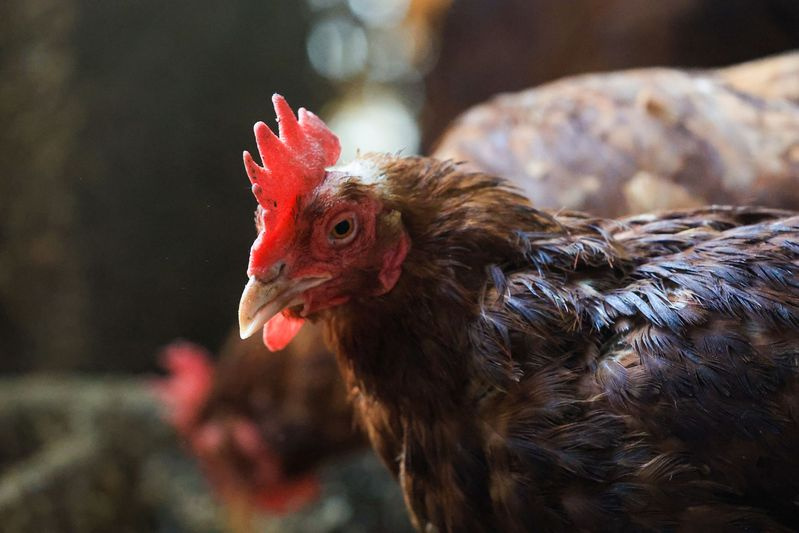    Наталья Шатохина/NEWS.ru