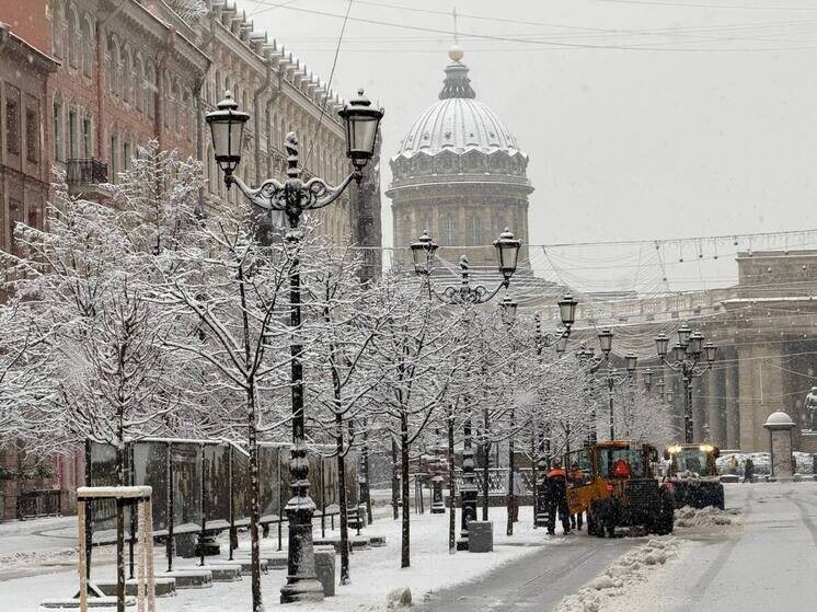     Фото: Официальный телеграм-канал вице-губернатора Санкт-Петербурга Евгения Разумишкина.