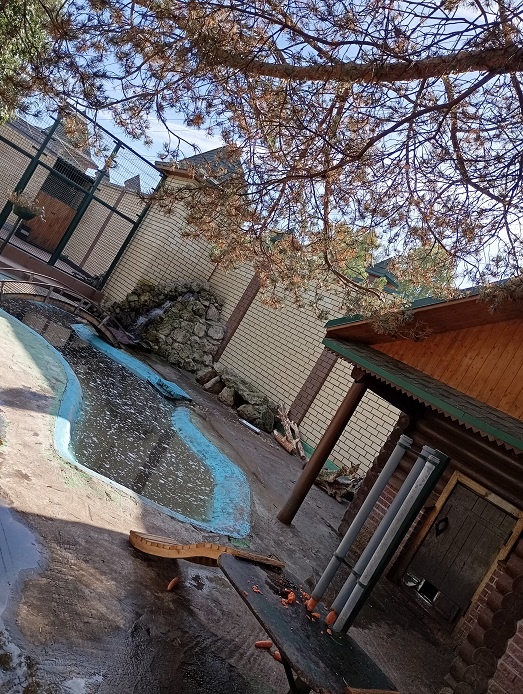 Нижний Новгород, 1 октября 2025. Нутрия.