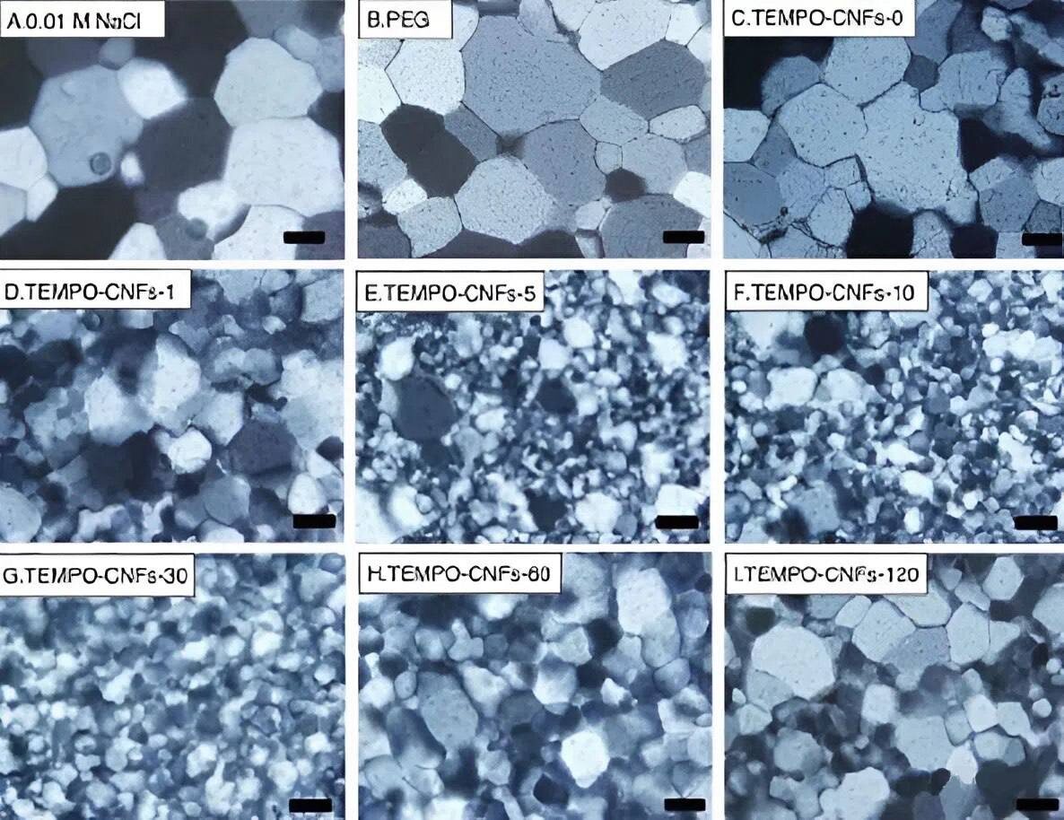 Рисунок 2. Микроскопические изображения пластин кристаллов льда в поляризованном свете после 30-минутного отжига при -80С; 0,01М NaCI, PEG (отрицательный контроль) и ТЕМРО-СNFs обрабатывались ультразвуком в течение 0-120 мин.