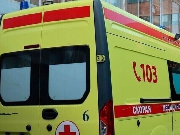     Фото Минздрава Курской области