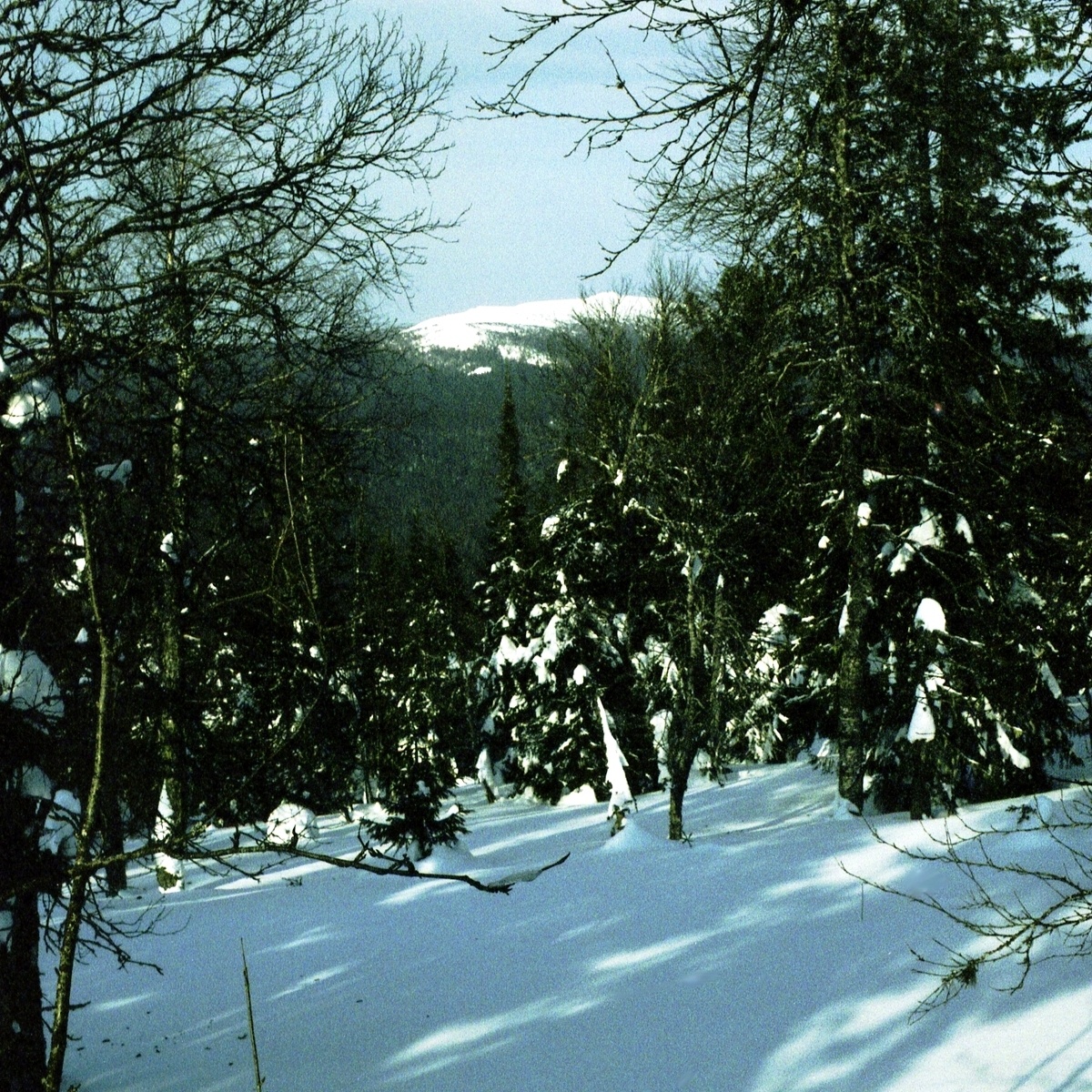 .приммерно так.