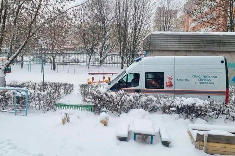    Сегодня в начале восьмого утра животное заметили на территории детсада № 39 на Ленинградской, 42